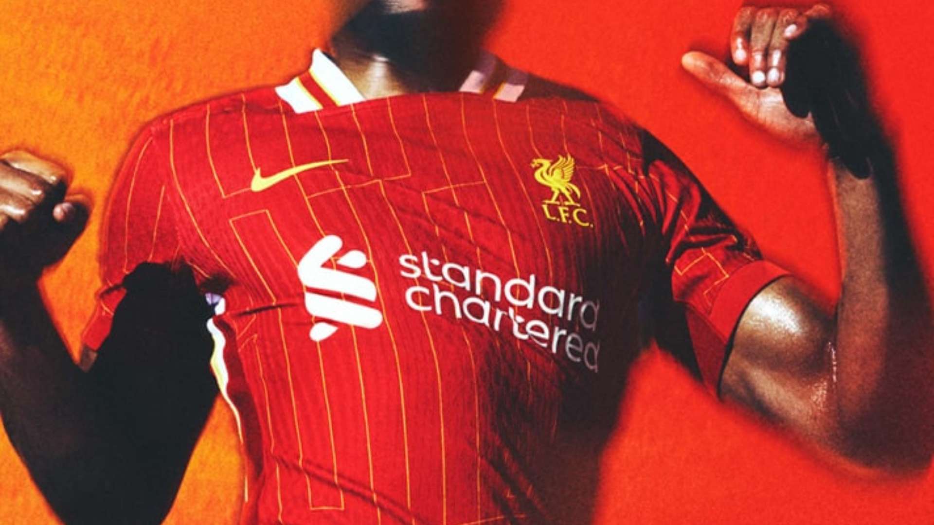 并冷静地寻 并冷静地寻