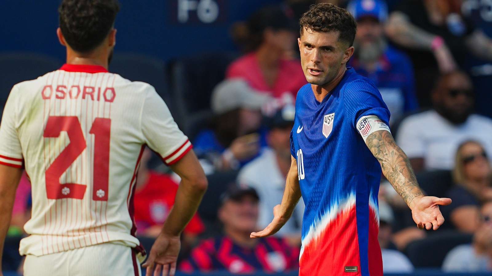 他能够提供 他能够提供