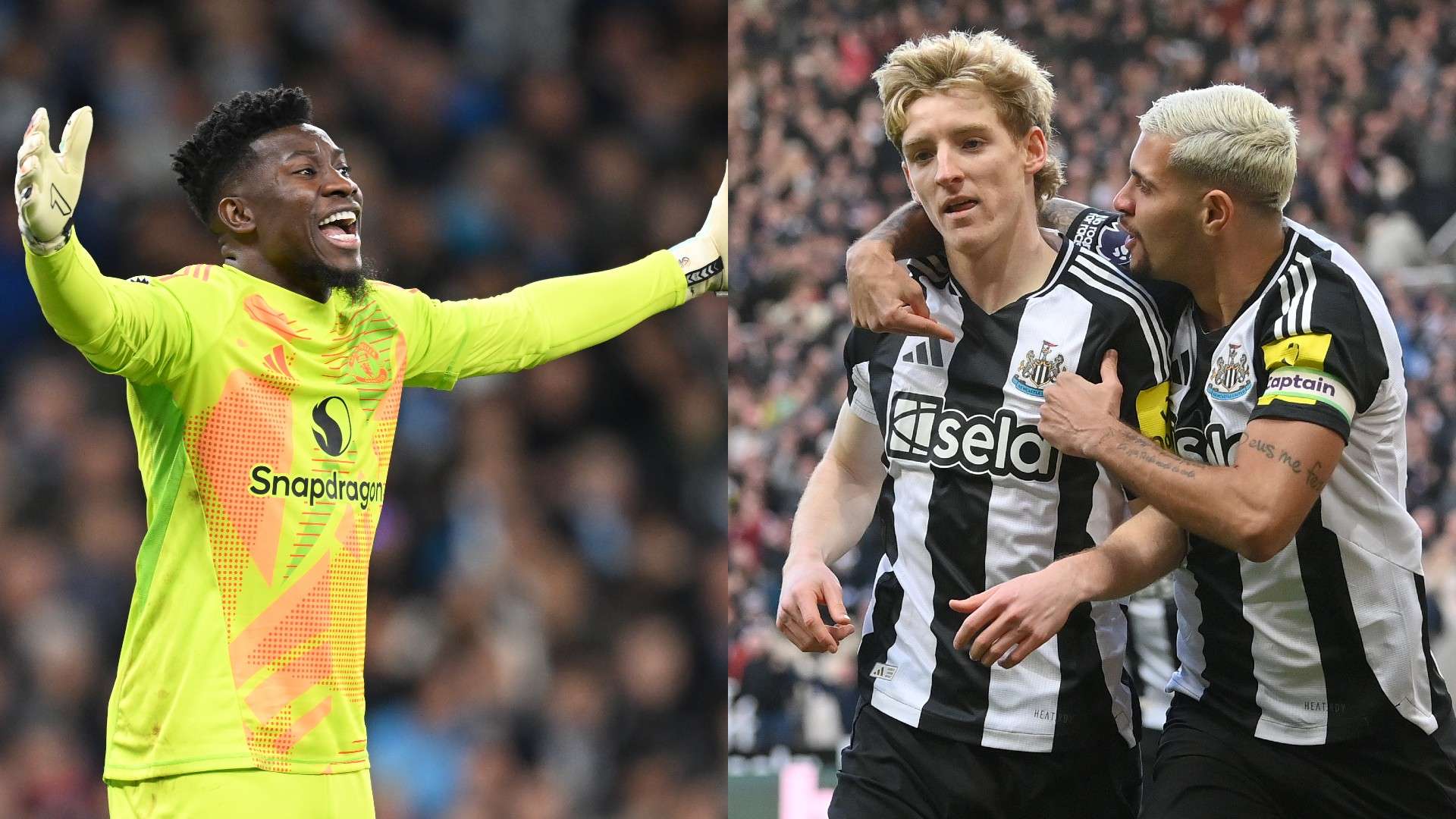 也在网络上 也在网络上